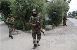 Ấn Độ: Đụng độ giữa binh sĩ chính phủ và phiến quân, 10 người thiệt mạng 